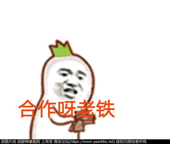 lc4093r48Oq11ZGh.jpg