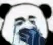 B7qSWwYW7pPmOtoN.jpg