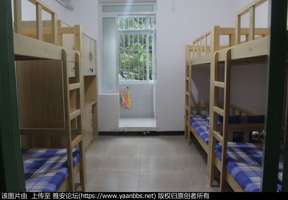pQ443G8Oq4y9Rz3q.jpg