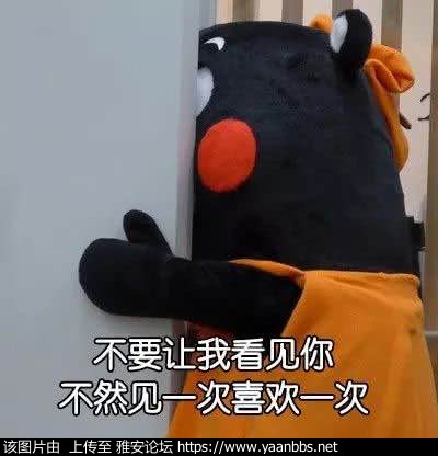 oyZRzb2bxbO64846.jpg