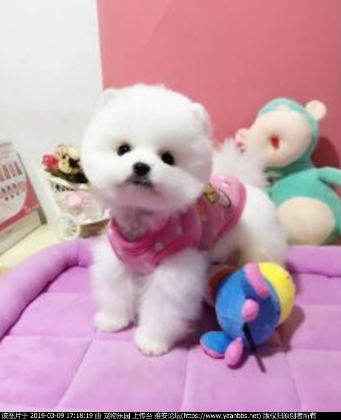 TB2iVWCk9BjpuFjy1XdXXaooVXa_!!390069231.jpg