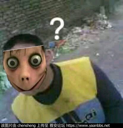 ekOMU0GSroM2C5Yy.jpg