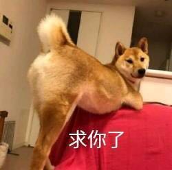 hQQEZ1c9ynqcm1I5.jpg