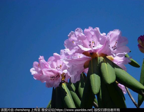 t0NX0MR4112cLEjw.jpg
