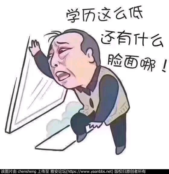 X3888H495SQFsqx7.jpg