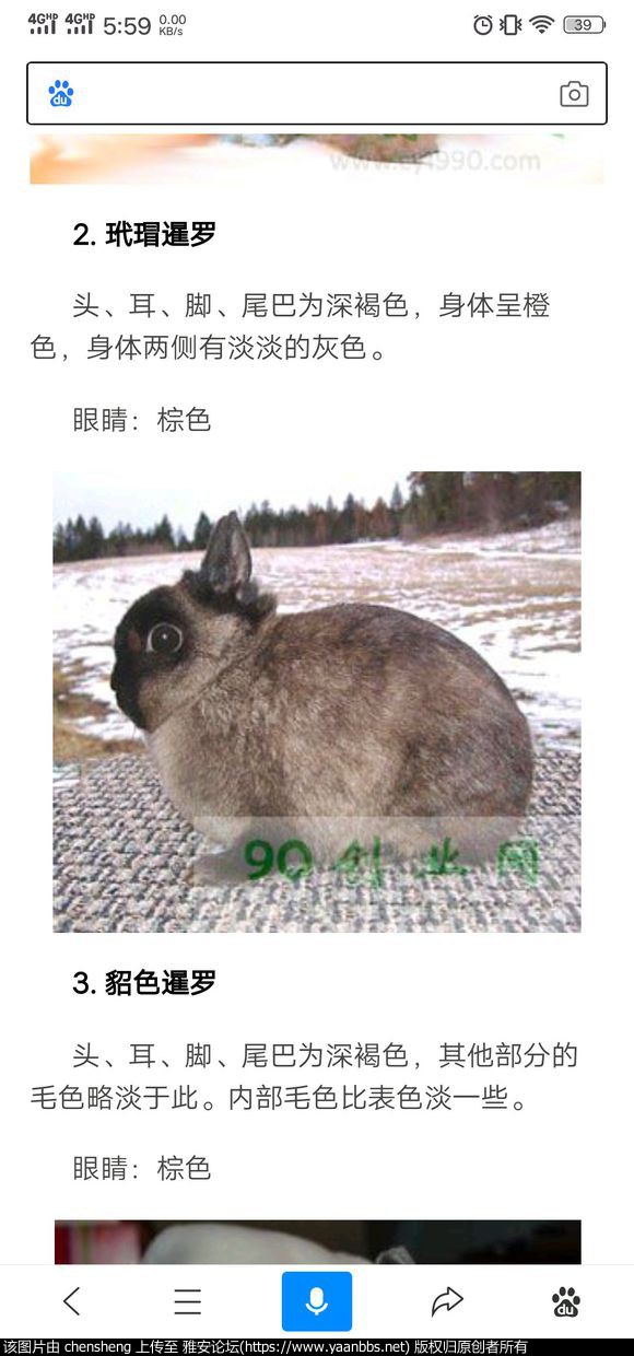 XAGnipXdLzaw5Xld.jpg