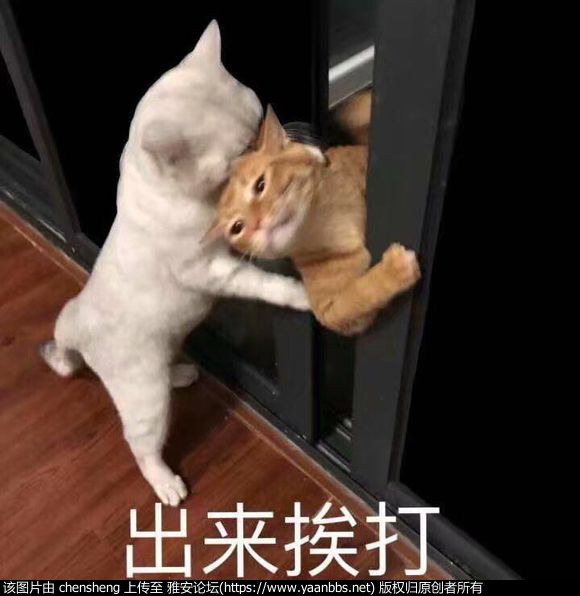 vj0Ku7vG9gMpU07F.jpg