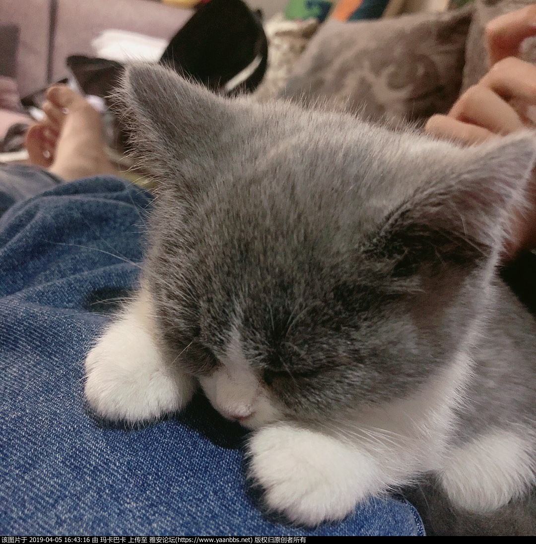 QQͼƬ20190331185250.jpg