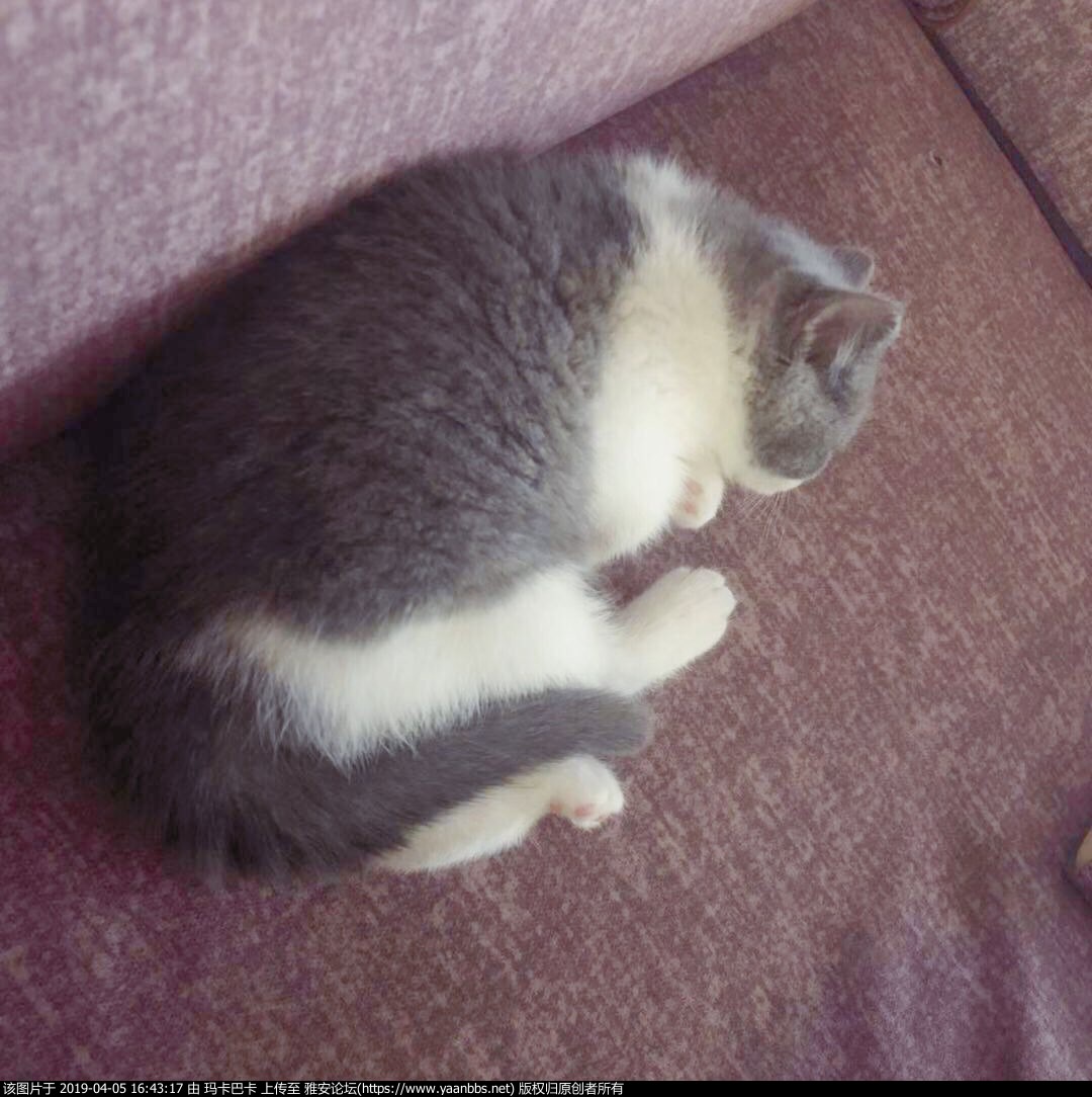 QQͼƬ20190331185357.jpg