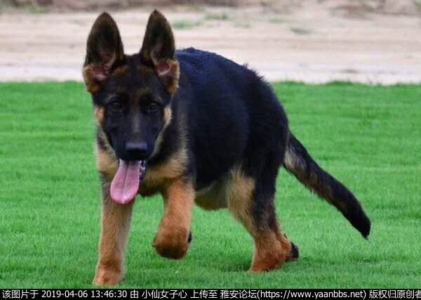 QQͼƬ20190402191939.jpg