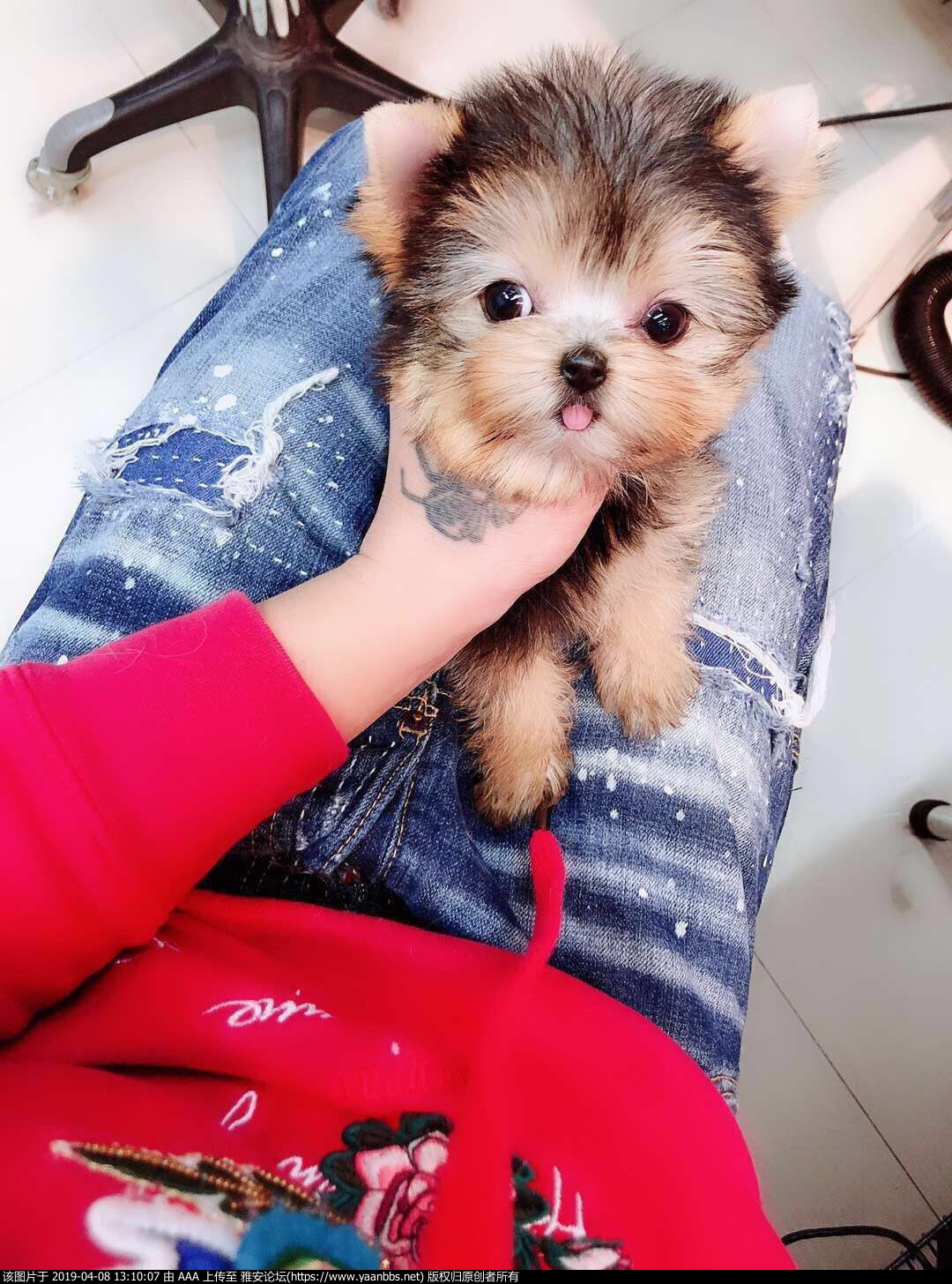 QQͼƬ20190402140743.jpg