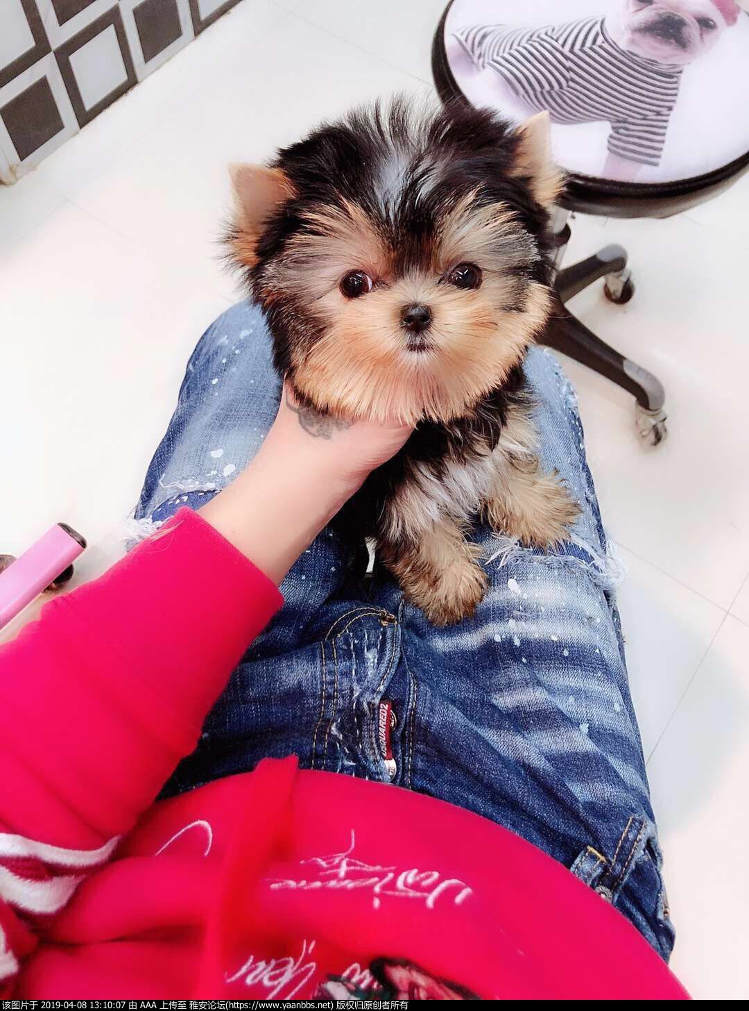 QQͼƬ20190402140748.jpg