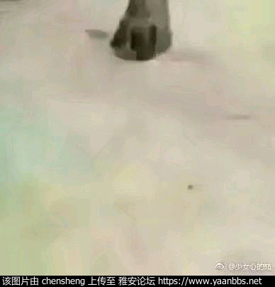 TBLfcAk7mMCc1ClZ.jpg