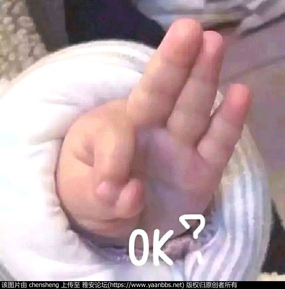 q0P6SmjNJ9cpex9x.jpg