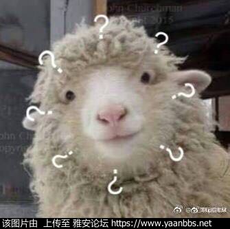 q9z1ohazHN51o2Z2.jpg