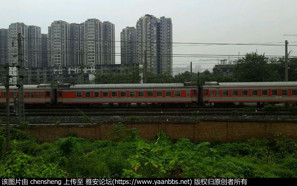 SNN06X6778n7t11s.jpg