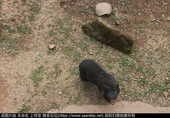 Il44rN19j6r9Wy14.jpg