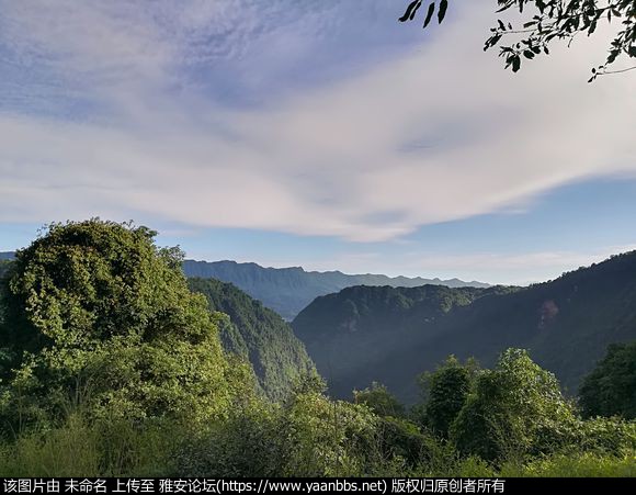 k818b3X33MZD1F1m.jpg