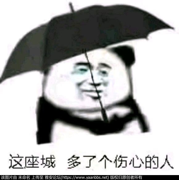 fWOQ8WOrWYly2T0T.jpg