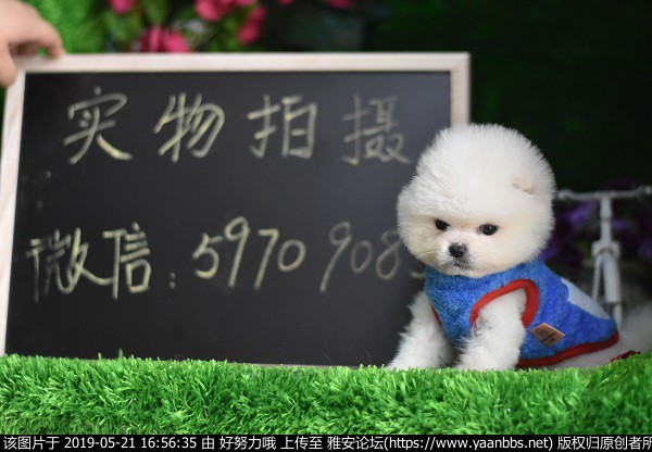 QQͼƬ20190520144632.jpg