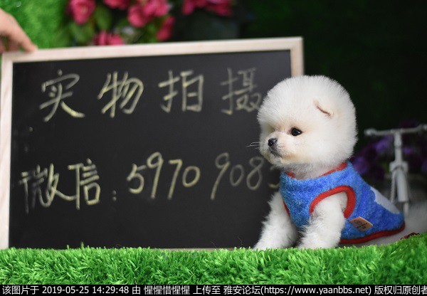 QQͼƬ20190520144627.jpg