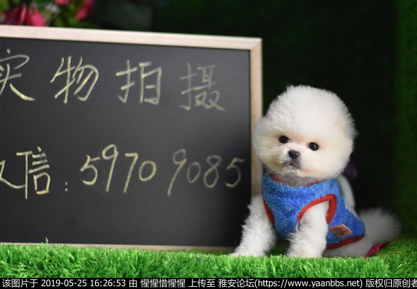 QQͼƬ20190520144618.jpg