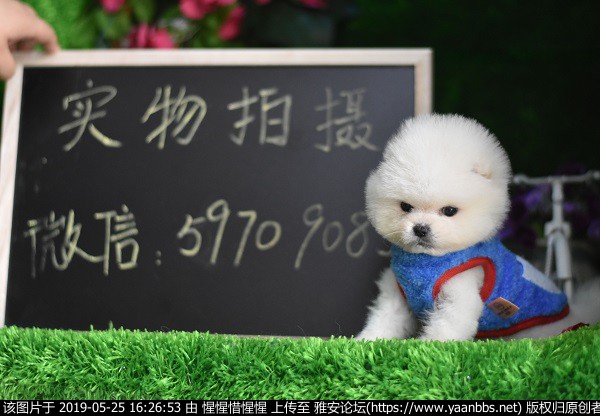 QQͼƬ20190520144632.jpg