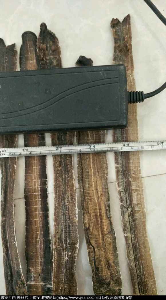 cqxp363tEzGpj109.jpg