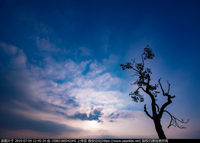 ΢ͼƬ_201907031320493.png