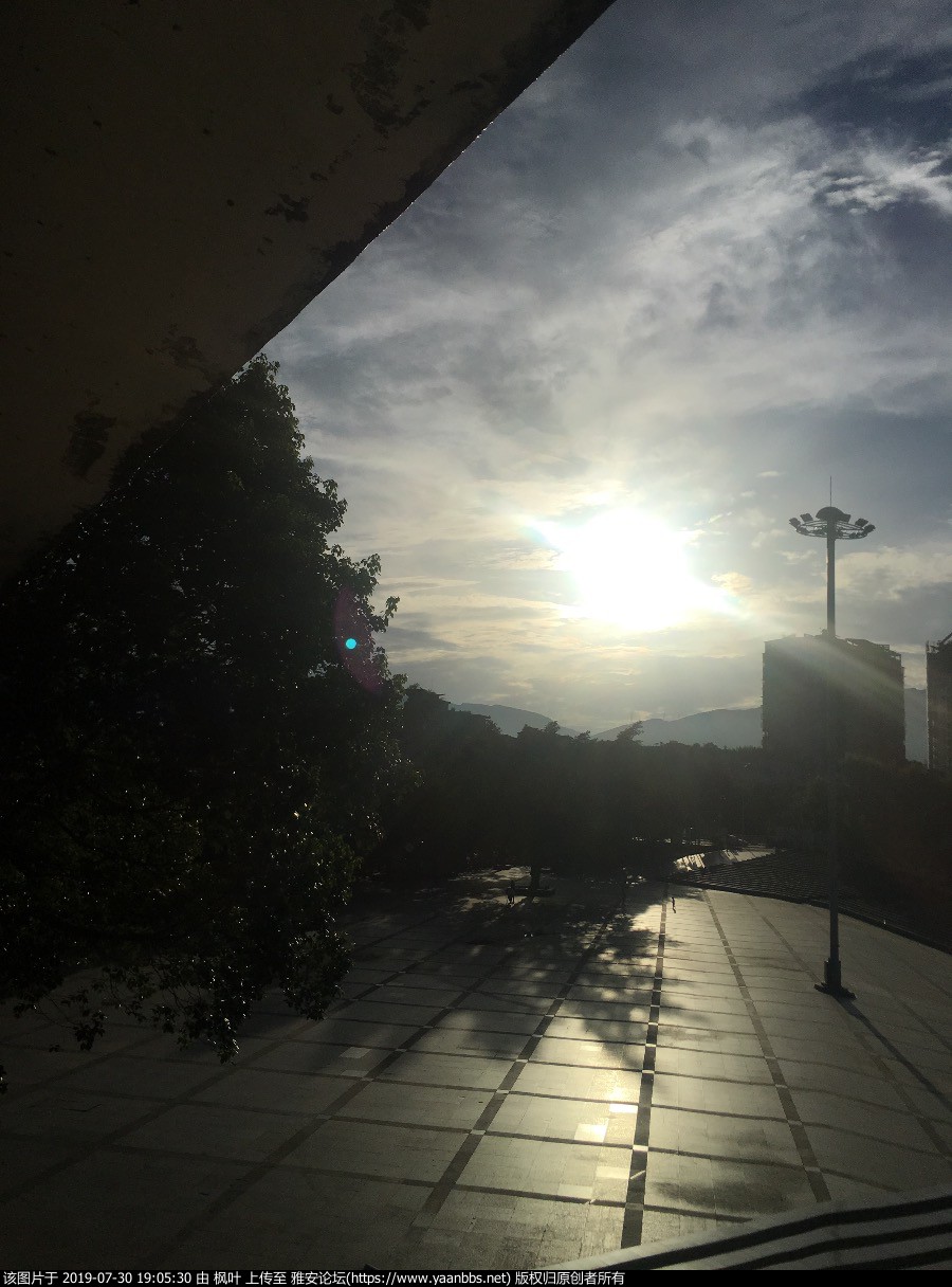 8FE1350E-4268-456D-9D51-C90348872BD1.jpeg