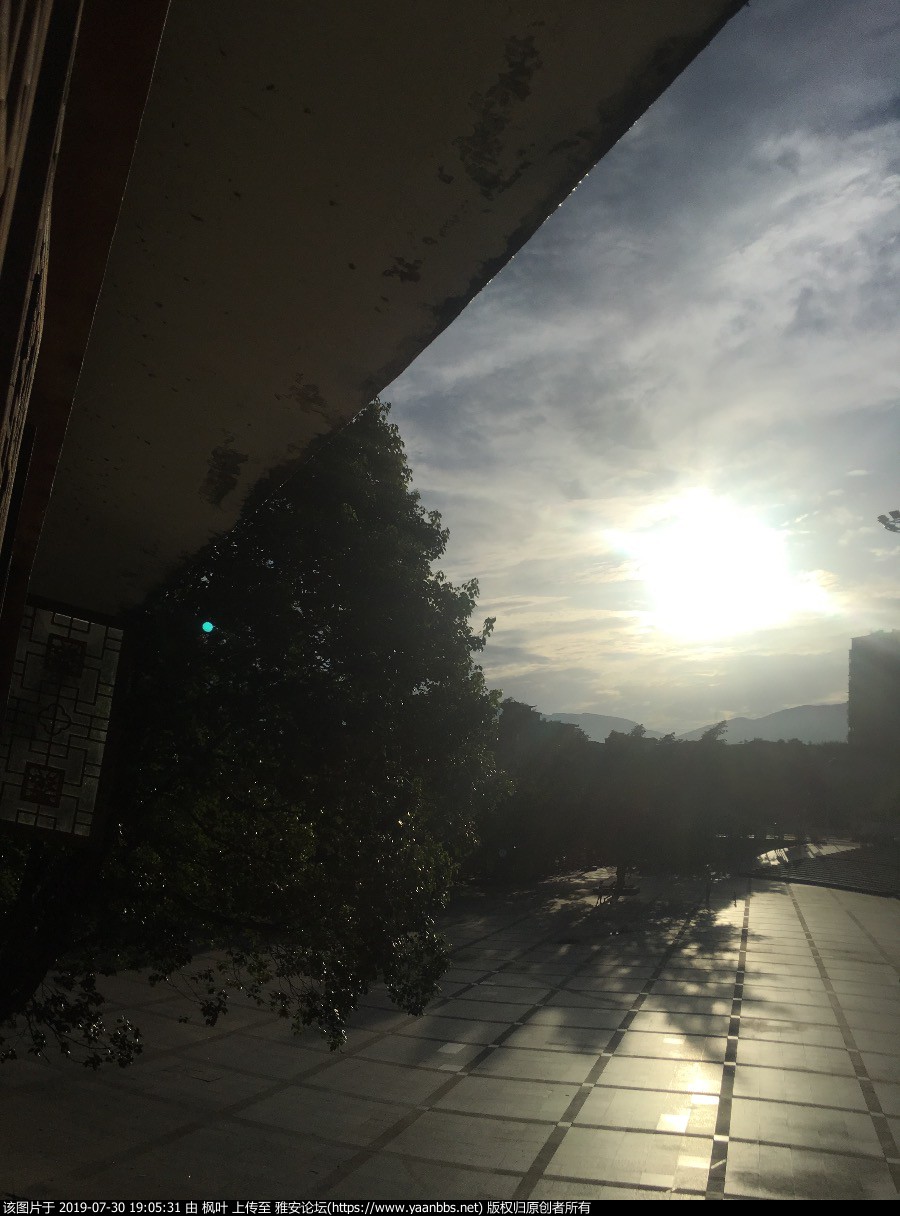 53AB26B4-0CC8-4136-910B-F788DE62F4DB.jpeg