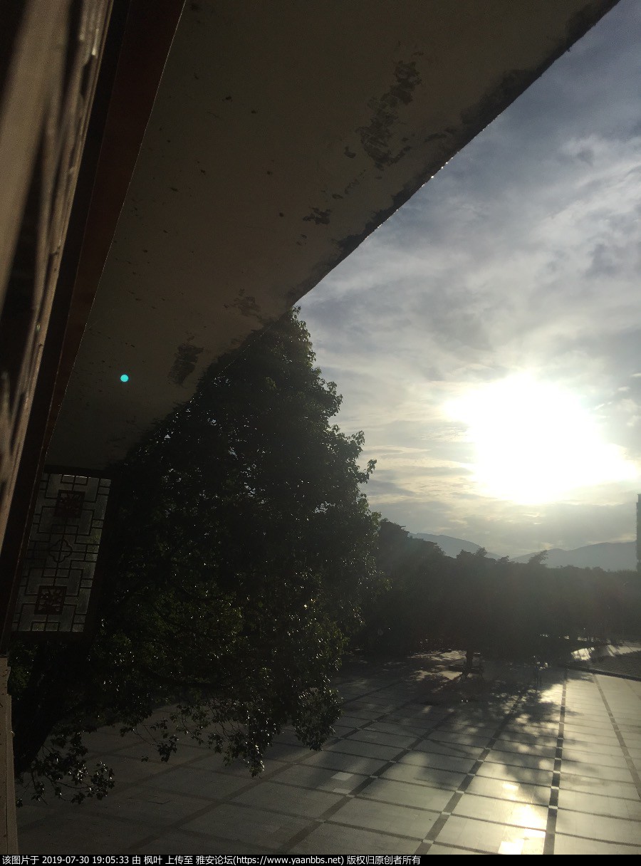B7BCB11C-A013-4187-BE60-D983A8866B9F.jpeg