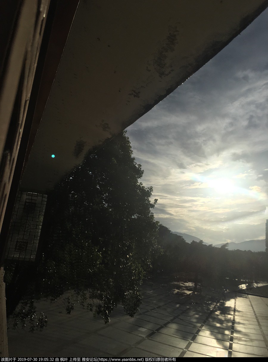 56E612AA-D401-46F5-8E36-D055CB97BEDE.jpeg