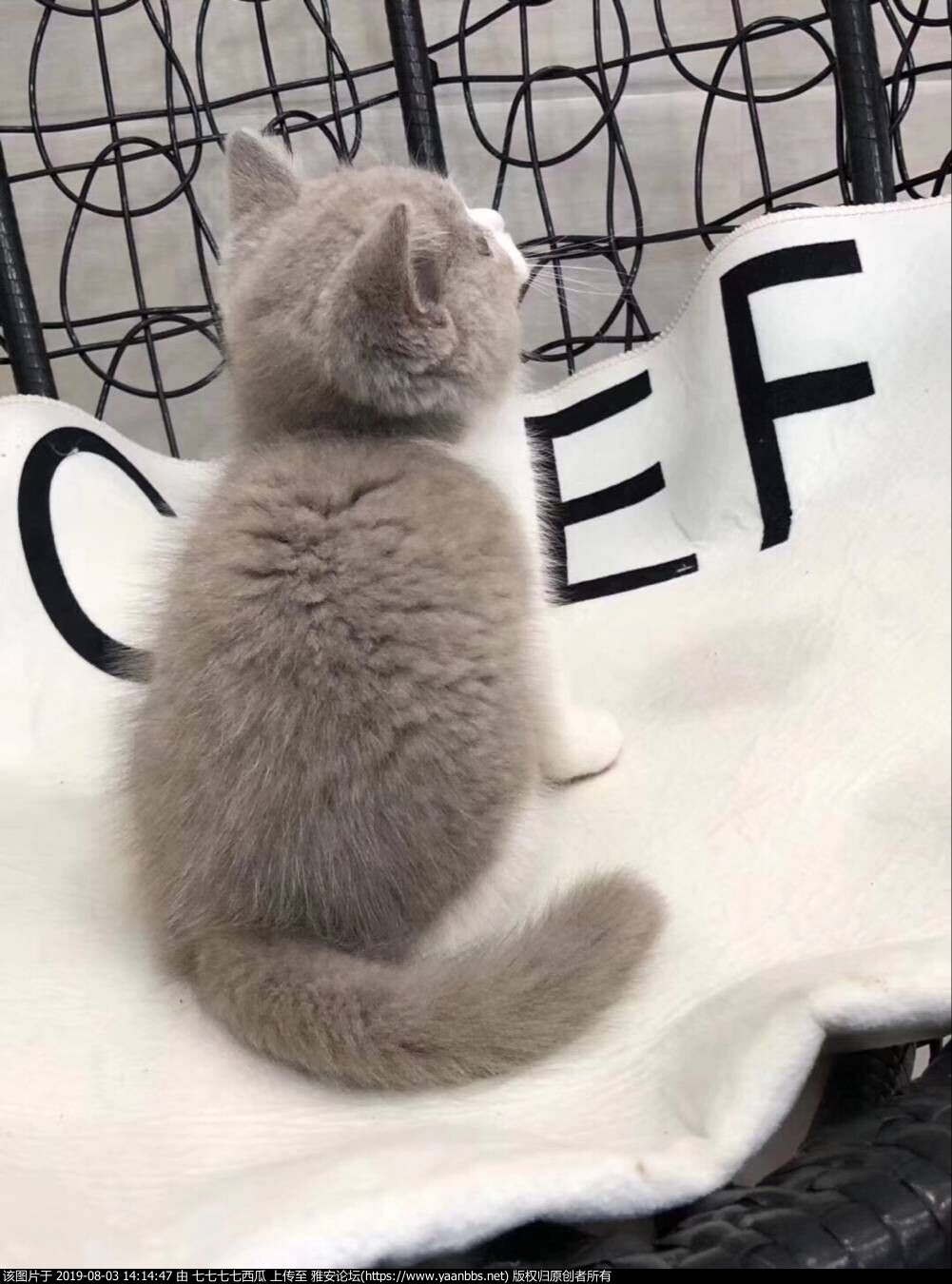 QQͼƬ20181207131637.jpg