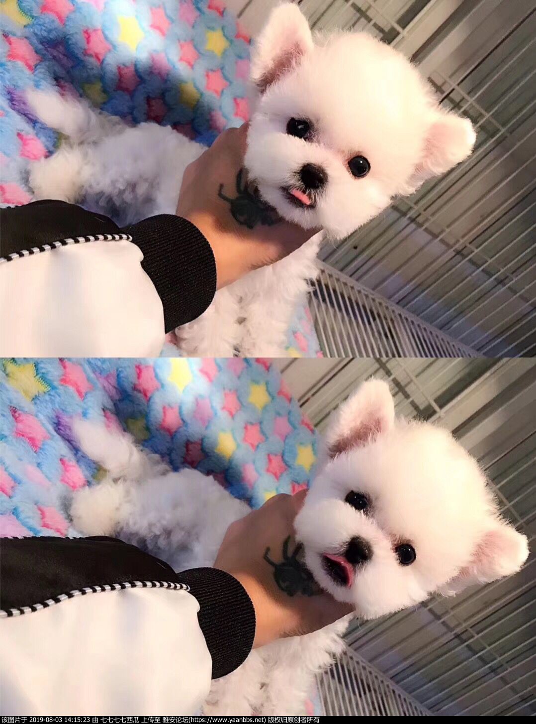 QQͼƬ20190402143431.jpg