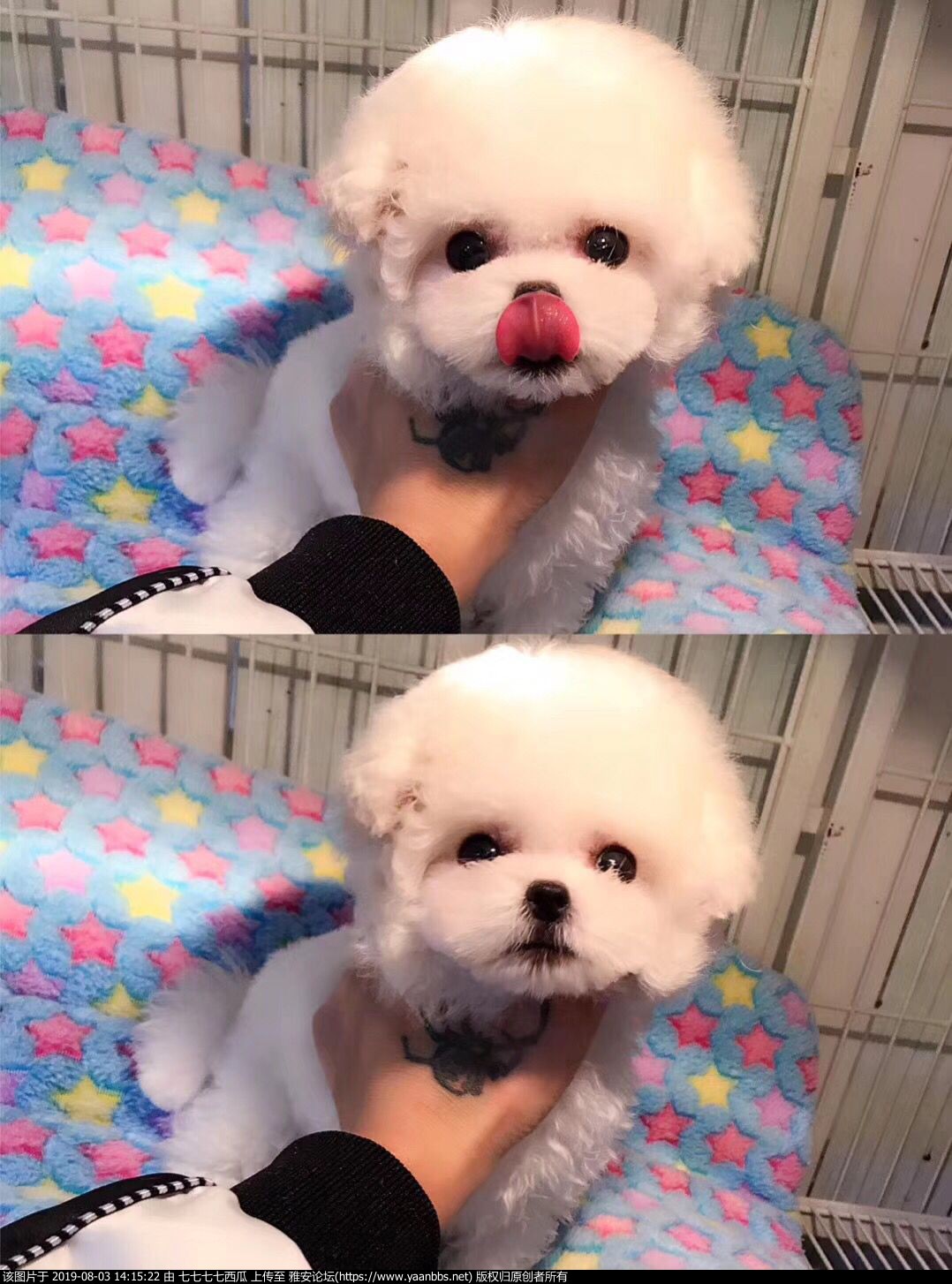 QQͼƬ20190402143413.jpg