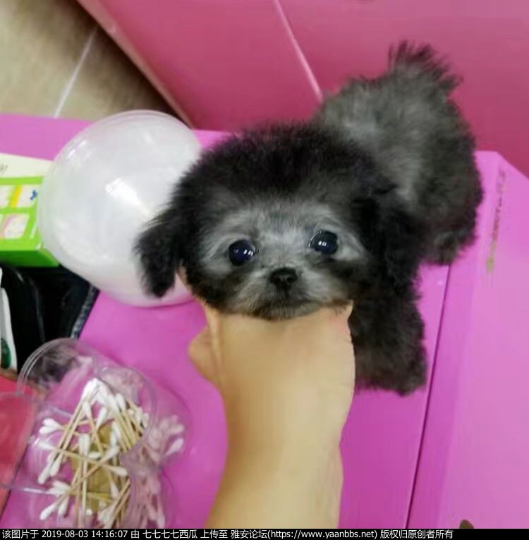 QQͼƬ20181104145512.jpg