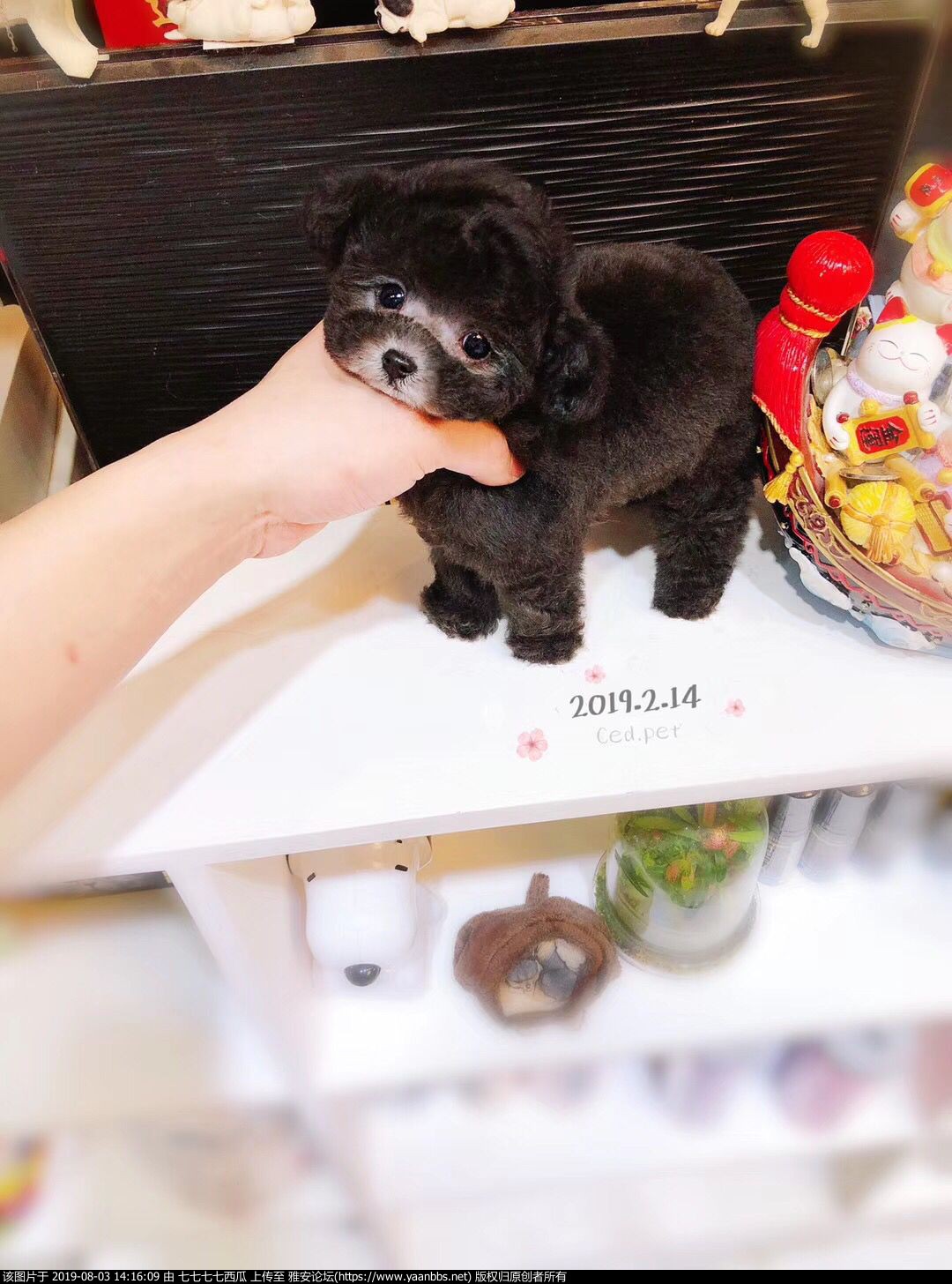 QQͼƬ20190402140008.jpg