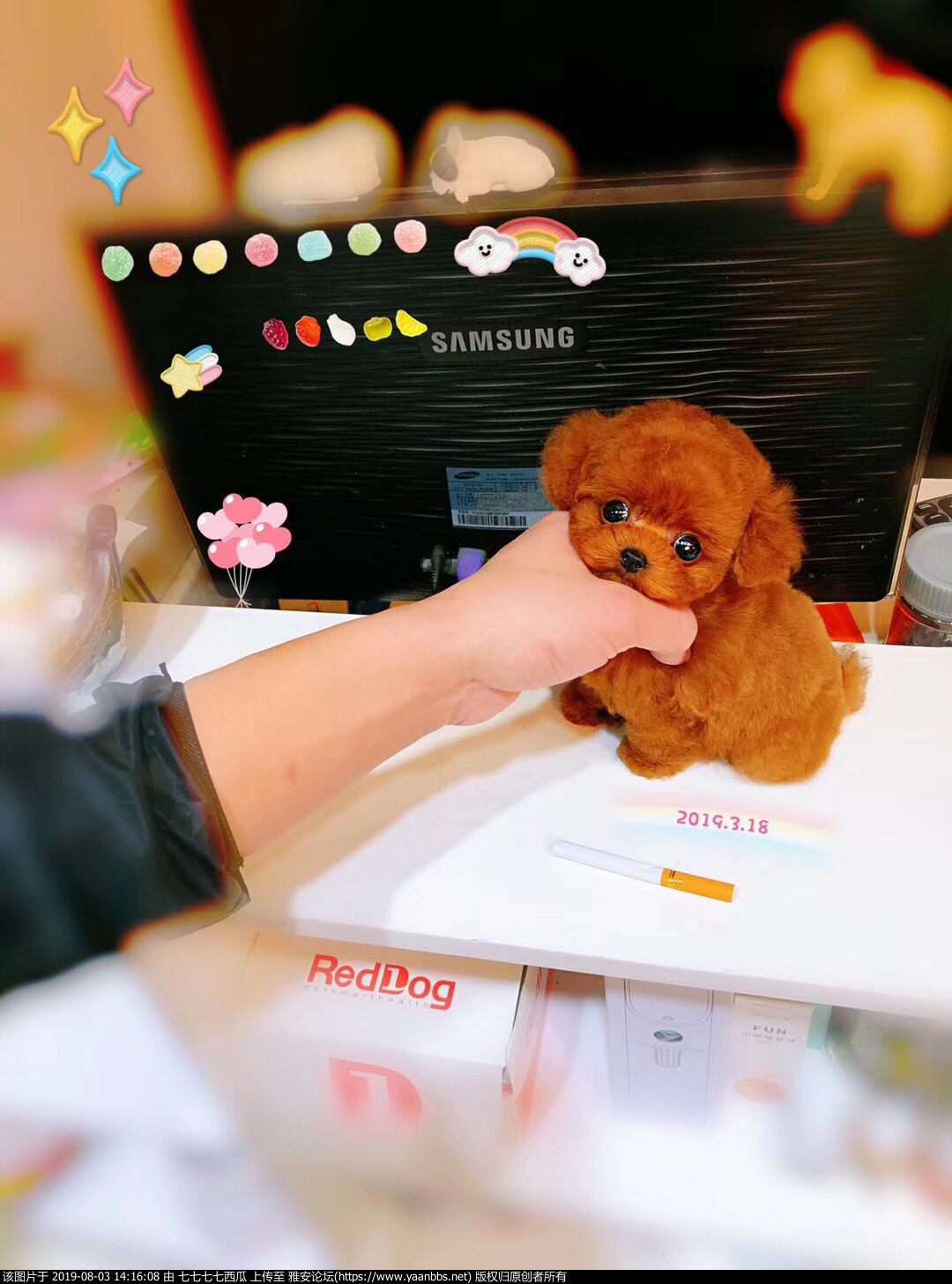 QQͼƬ20190402135945.jpg
