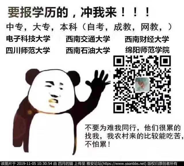 7897897464646546.jpg