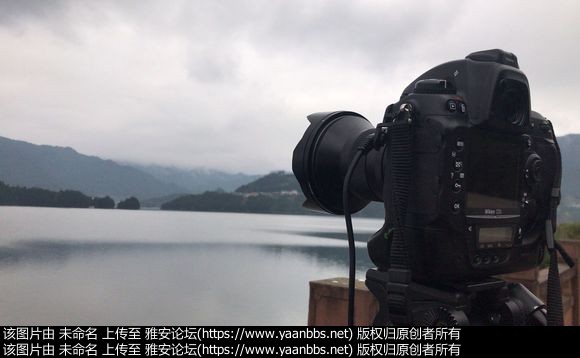 d80c41fbfbedab64661b83a0f836afc379311e6c.jpg