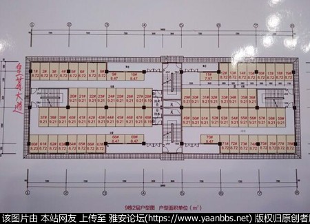 76171525557684.jpg