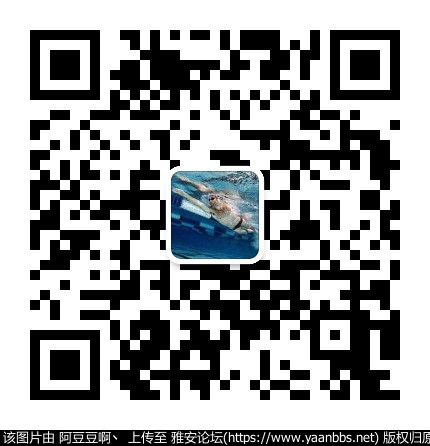 mmqrcode1587369190728.png