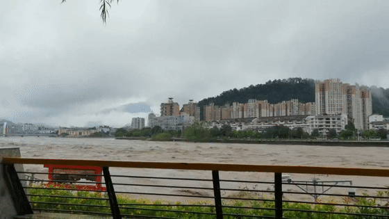 5.gif