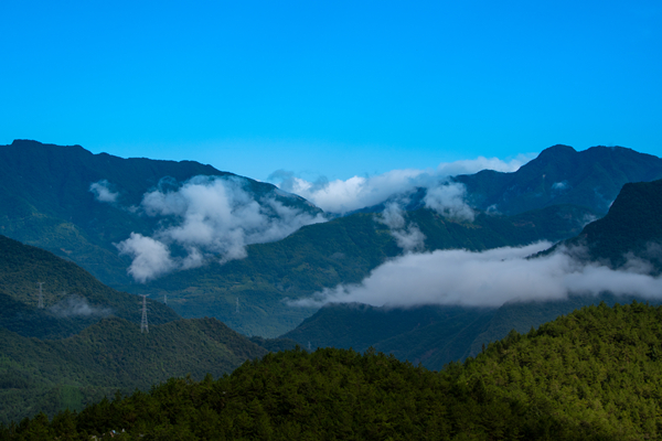 DSC06081_.jpg