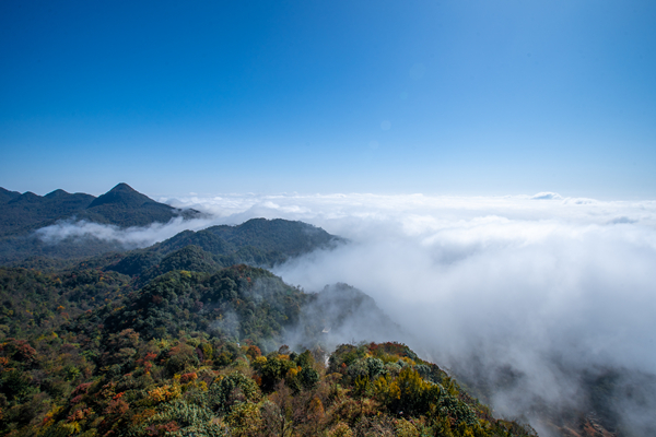 DSC07051_.jpg