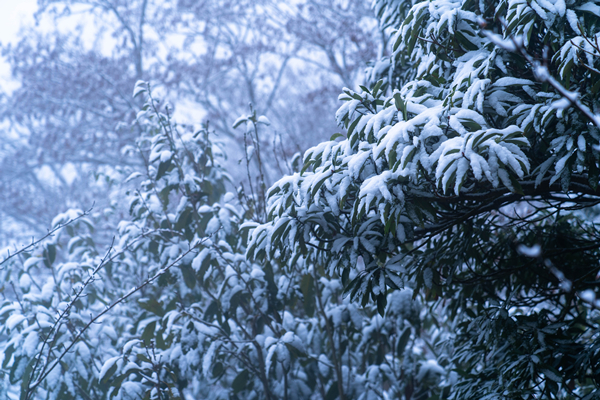 DSC09431_.jpg