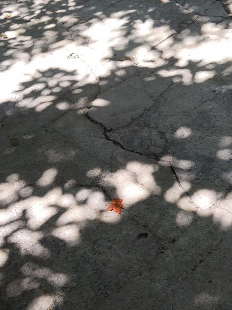 ΢Žͼ_20210729164201.jpg