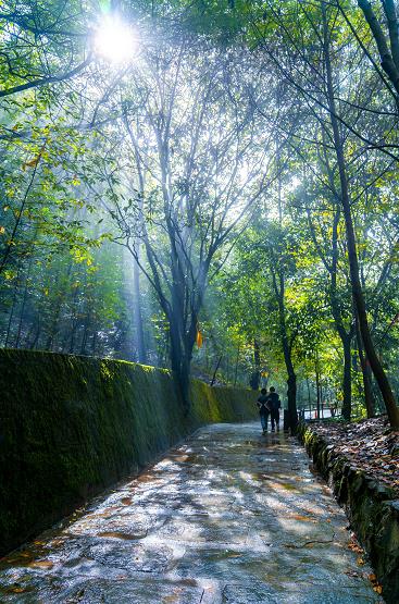 ΢Žͼ_20211011153219.jpg